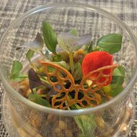 Salad  at Saido in Tokyo