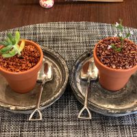 Can you tell which is the dessert and which is the plant decor?  at Saido in Tokyo