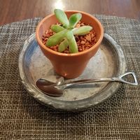 Cheesecake at Saido in Tokyo