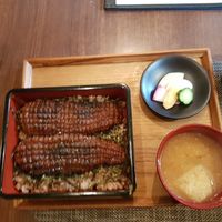 Fake eel at Saido in Tokyo
