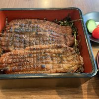 Vegan unagi set!  at Saido in Tokyo