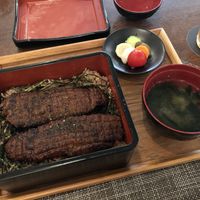 Fake eel lunchbox  at Saido in Tokyo