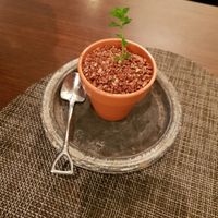 Vegan blueberry cheesecake at Saido in Tokyo