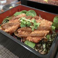 Katsu-don at Saido in Tokyo