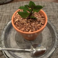 Blueberry cheese cake at Saido in Tokyo