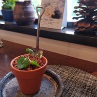 Vegan Blueberry cheesecake at Saido in Tokyo