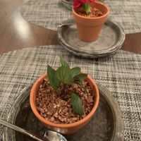 Blueberry cheesecake or real plant??  at Saido in Tokyo