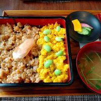 Nishoku-don at Saido in Tokyo