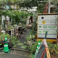 Entrance at Saido in Tokyo