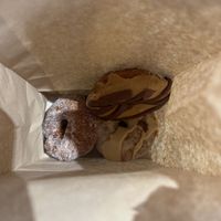   at Cider Belly in Albany