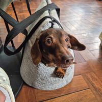 Happy customer at Cafe Strange Brew in Glasgow