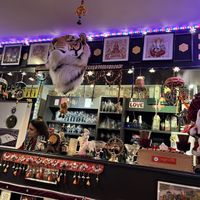 Counter   at Royal India in Ghent