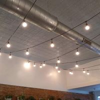 decorations / live plants at Native Bagel Company in Berea