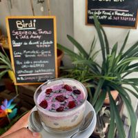   at Birdi in Cagliari