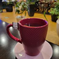 Hot Cinnamon Tea! at Nancy's Sky Garden in Austin