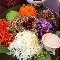 Fresh veggies with sweet potato noodles - massive portions at Nancy's Sky Garden in Austin