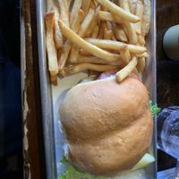 Falafel burgerr  at Nitty Gritty in Madison