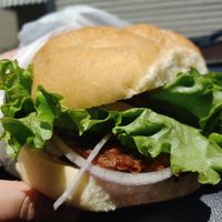 Beyond burger at Nitty Gritty in Madison