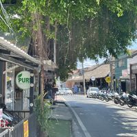   at Pure Vegan Heaven in Koh Samui