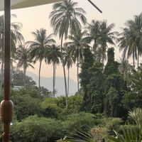   at Pure Vegan Heaven in Koh Samui