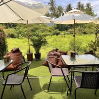   at Pure Vegan Heaven in Koh Samui