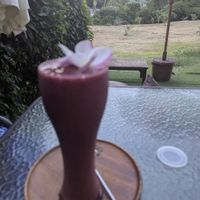  at Pure Vegan Heaven in Koh Samui