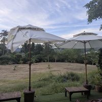  at Pure Vegan Heaven in Koh Samui