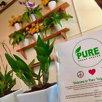 Pure Vegan Heaven Koh Samui at Pure Vegan Heaven in Koh Samui