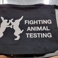 I bought a bag at LUSH in Haarlem