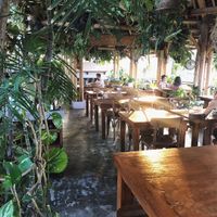Lush interior at Shelter Cafe in Seminyak