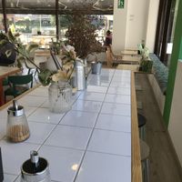 place2 at Zooko in Oviedo