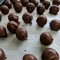 Gluten free, soy free, cookie dough ganache balls! at The Baked Vegan Bakery in Lake Park