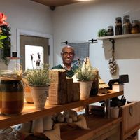   at Corarima in Wakefield