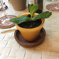 Chocolate mousse 😋 at Café Garrett by Ohana in Lisbon