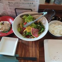 Yuba sashimi, salad and rice at Mori-meshi in Hakone