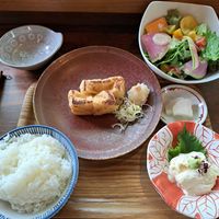 Vegan set meal with fried tofu, yuba, salad, rice and pickles at Mori-meshi in Hakone