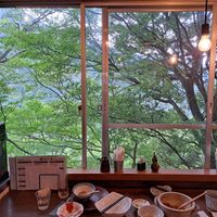 Nice view of trees at Mori-meshi in Hakone