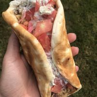 F This Year Yo Gyro at New Public - Food Truck in Bellingham