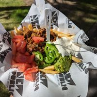 Asada fries (VegFest special) at New Public - Food Truck in Bellingham