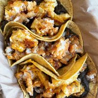 Breakfast All Day Tacos at New Public - Food Truck in Bellingham