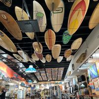 Cool store😎  at Cafe Single Fin in Pensacola