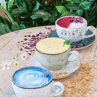 Superfood lattes! Spirulina, turmeric, and rose  at Erpingham House at Cloud Twelve in West London