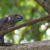 Dined with us at Jerah in Jaco