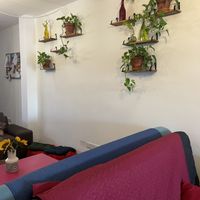   at Balance Bowl in Gzira