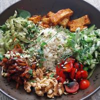 Buddha bowl at Balance Bowl in Gzira