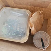 Leftovers at Balance Bowl in Gzira