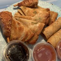 Spring rolls, scallion pancakes, & drumsticks for fam  at Loving Hut - Chandler St in Worcester