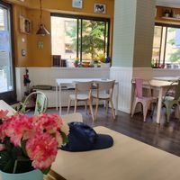  at Salamanca Magenta Cafe & Bar in Salamanca