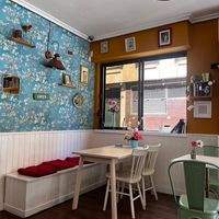   at Salamanca Magenta Cafe & Bar in Salamanca