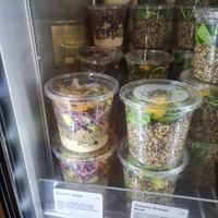  at Wild & The Moon - Saint Honoré in Paris